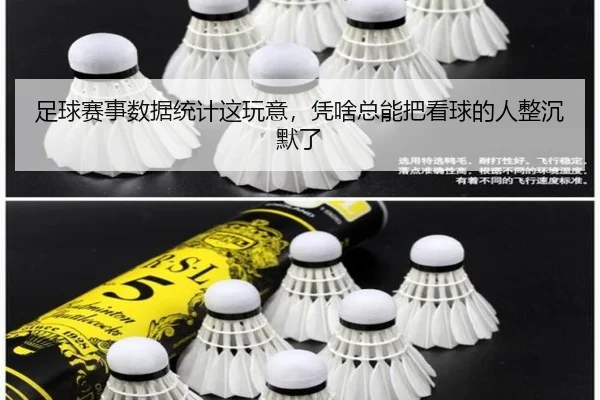 zu-qiu-sai-shi-shu-ju-tong-ji-zhe-wan-yi-ping-sha-zong-neng-ba-kan-qiu-de-ren-zheng-chen-mo-le-1-896.jpg